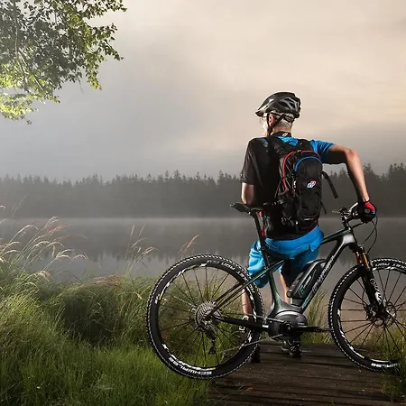 Hotel Alpenhotel Küchl 3*