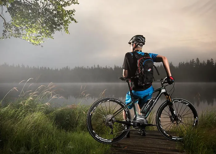 Szálloda Alpenhotel Kuechl 3*